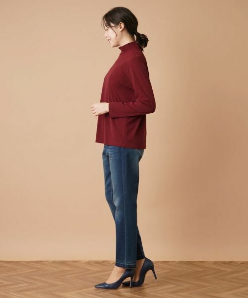 Leilian PLUS HOUSE / レリアンプラスハウス カットソー | ハイネックカットソー | 詳細2