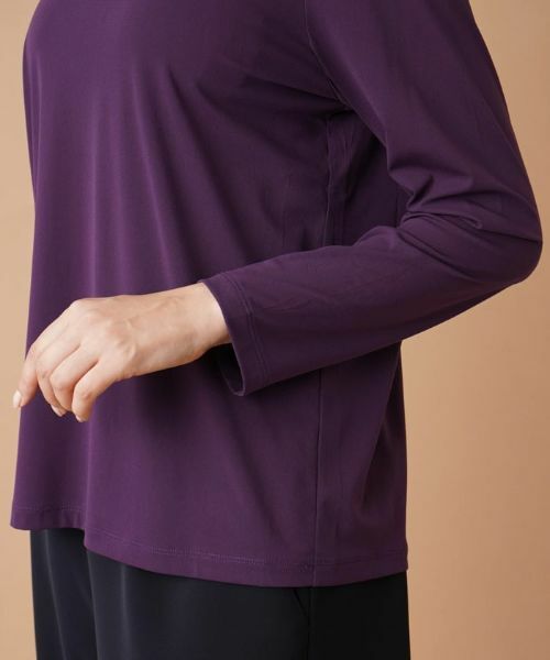 Leilian PLUS HOUSE / レリアンプラスハウス カットソー | ハイネックカットソー | 詳細21