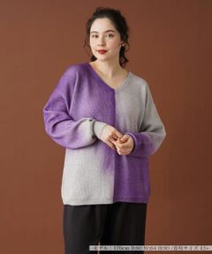 Leilian PLUS HOUSE / レリアンプラスハウス ニット・セーター | グラデーションVネックニット