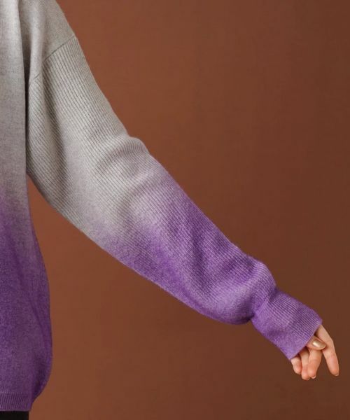 Leilian PLUS HOUSE / レリアンプラスハウス ニット・セーター | グラデーションVネックニット | 詳細10