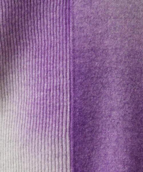 Leilian PLUS HOUSE / レリアンプラスハウス ニット・セーター | グラデーションVネックニット | 詳細11