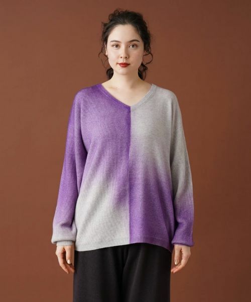 Leilian PLUS HOUSE / レリアンプラスハウス ニット・セーター | グラデーションVネックニット | 詳細4