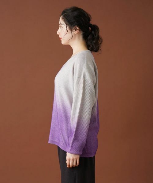 Leilian PLUS HOUSE / レリアンプラスハウス ニット・セーター | グラデーションVネックニット | 詳細5