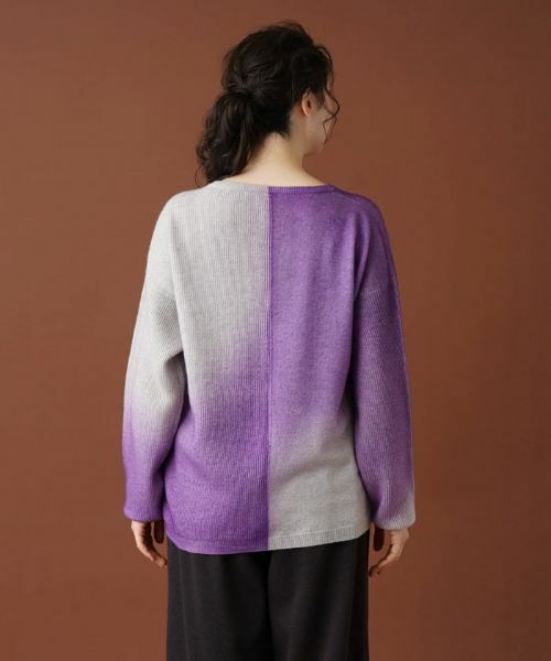 Leilian PLUS HOUSE / レリアンプラスハウス ニット・セーター | グラデーションVネックニット | 詳細6
