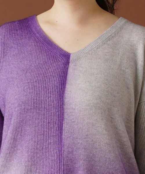 Leilian PLUS HOUSE / レリアンプラスハウス ニット・セーター | グラデーションVネックニット | 詳細7