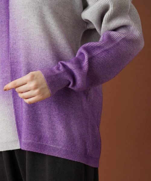 Leilian PLUS HOUSE / レリアンプラスハウス ニット・セーター | グラデーションVネックニット | 詳細9