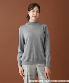 Leilian PLUS HOUSE / レリアンプラスハウス ニット・セーター | ハイネックニットプルオーバー