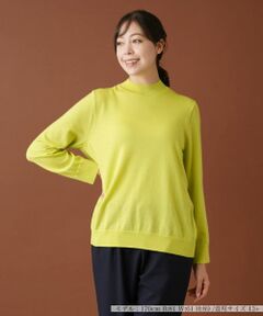 Leilian PLUS HOUSE / レリアンプラスハウス ニット・セーター | ハイネックニットプルオーバー