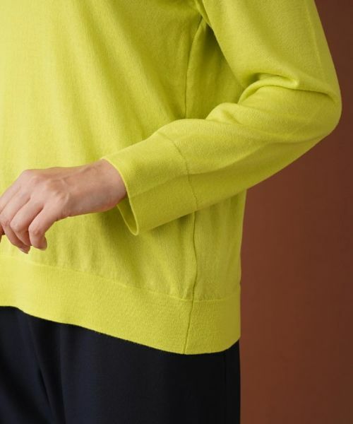 Leilian PLUS HOUSE / レリアンプラスハウス ニット・セーター | ハイネックニットプルオーバー | 詳細9