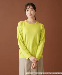 Leilian PLUS HOUSE / レリアンプラスハウス ニット・セーター | クルーネックニットプルオーバー