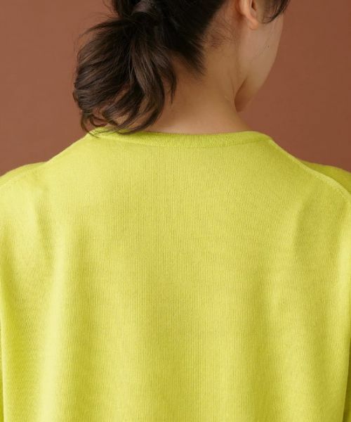 Leilian PLUS HOUSE / レリアンプラスハウス ニット・セーター | クルーネックニットプルオーバー | 詳細11