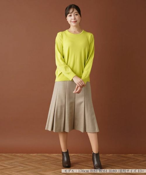 Leilian PLUS HOUSE / レリアンプラスハウス ニット・セーター | クルーネックニットプルオーバー | 詳細4