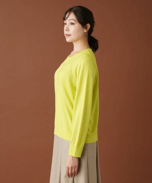 Leilian PLUS HOUSE / レリアンプラスハウス ニット・セーター | クルーネックニットプルオーバー | 詳細8