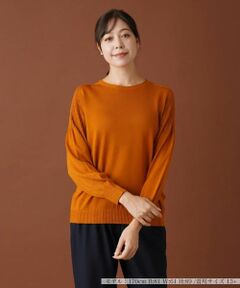 Leilian PLUS HOUSE / レリアンプラスハウス ニット・セーター | クルーネックニットプルオーバー