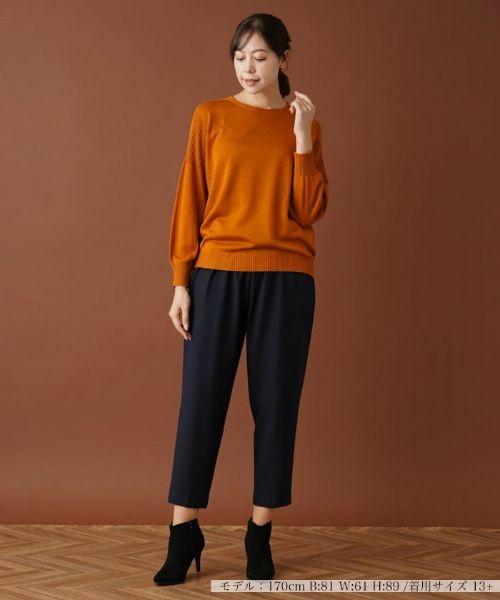 Leilian PLUS HOUSE / レリアンプラスハウス ニット・セーター | クルーネックニットプルオーバー | 詳細1