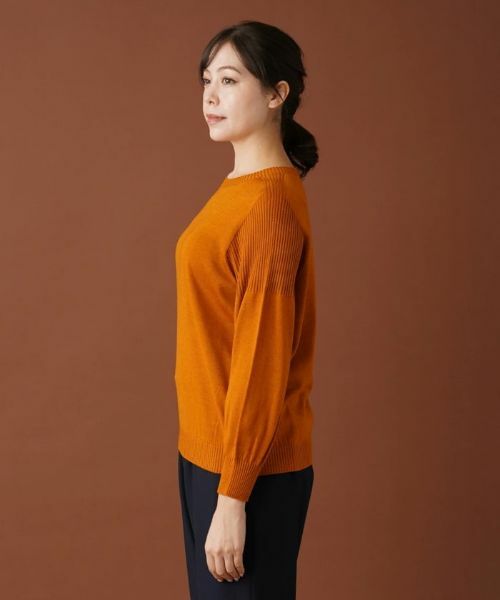 Leilian PLUS HOUSE / レリアンプラスハウス ニット・セーター | クルーネックニットプルオーバー | 詳細5