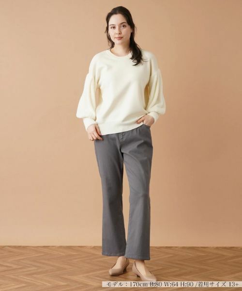 Leilian PLUS HOUSE / レリアンプラスハウス ニット・セーター | 切替ボリュームスリーブニット | 詳細1