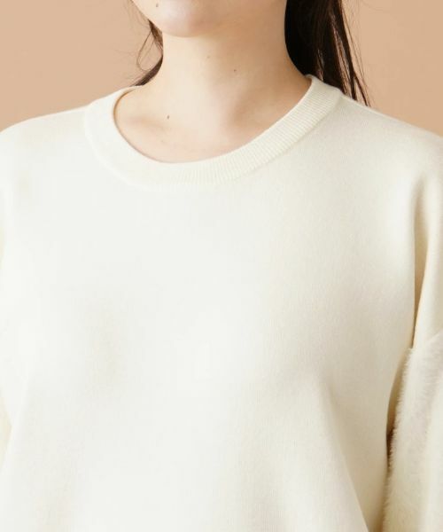 Leilian PLUS HOUSE / レリアンプラスハウス ニット・セーター | 切替ボリュームスリーブニット | 詳細7