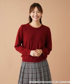 Leilian PLUS HOUSE / レリアンプラスハウス ニット・セーター | 【店舗人気】クルーネックニット