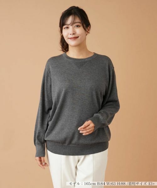 Leilian PLUS HOUSE/レリアンプラスハウス Vガゼットニット【my perfect wardrobe】 チャコール系 13+ Leilian PLUS HOUSE/レリアンプラスハウス Vガゼットニット【my perfect wardrobe】 チャコール系 13+