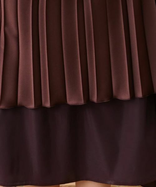 Leilian PLUS HOUSE / レリアンプラスハウス ロング・マキシ丈スカート | サテンプリーツスカート | 詳細13