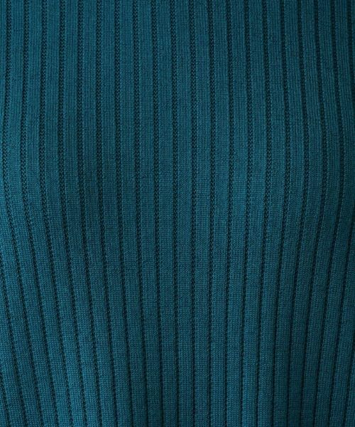 Leilian PLUS HOUSE / レリアンプラスハウス ニット・セーター | 切替ベルスリーブリブニット【Leilian：EZUMI】 | 詳細14