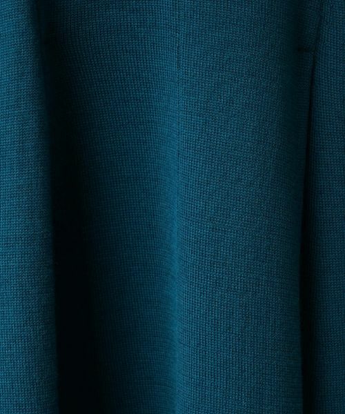Leilian PLUS HOUSE / レリアンプラスハウス ドレス | ベルスリーブ切替フレアワンピース【Leilian：EZUMI】 | 詳細12