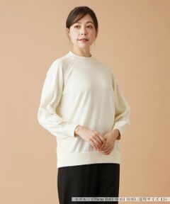 Leilian PLUS HOUSE / レリアンプラスハウス ニット・セーター | ラグランハイネックニット