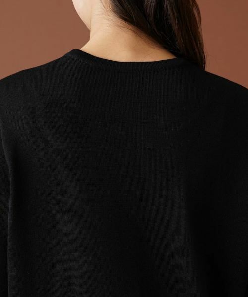 Leilian PLUS HOUSE / レリアンプラスハウス ニット・セーター | スパンコール刺繍クルーネックニット【プラス企画】 | 詳細13