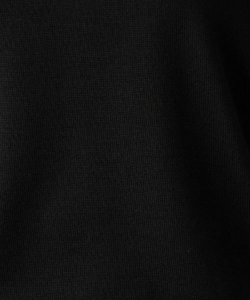 Leilian PLUS HOUSE / レリアンプラスハウス ニット・セーター | スパンコール刺繍クルーネックニット【プラス企画】 | 詳細15