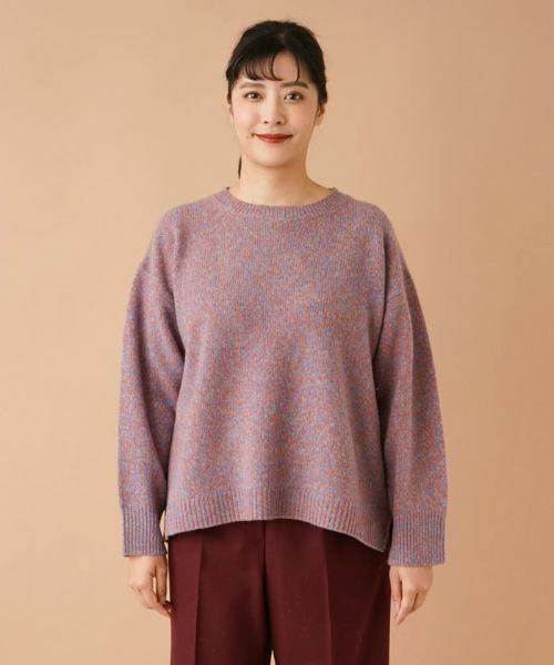 Leilian PLUS HOUSE / レリアンプラスハウス ニット・セーター | クルーネックニット | 詳細4