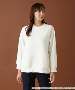 Leilian PLUS HOUSE / レリアンプラスハウス スウェット | ラグランスリーブプルオーバー【プラス企画】