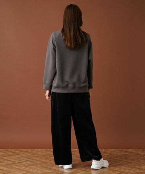 Leilian PLUS HOUSE / レリアンプラスハウス スウェット | ラグランスリーブプルオーバー【プラス企画】 | 詳細14
