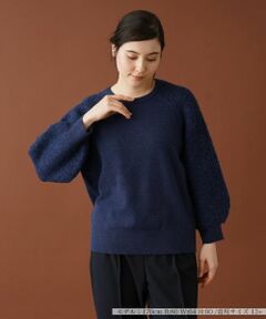 Leilian PLUS HOUSE / レリアンプラスハウス ニット・セーター | 切替ラグランニット