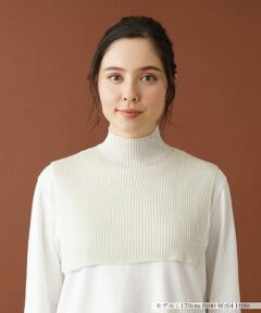 Leilian PLUS HOUSE / レリアンプラスハウス その他小物 | 【つけ衿タイプ】リブニットハイネック