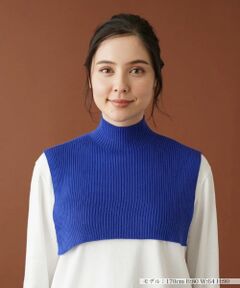 Leilian PLUS HOUSE / レリアンプラスハウス その他小物 | 【つけ衿タイプ】リブニットハイネック