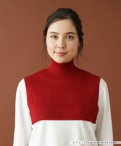 Leilian PLUS HOUSE / レリアンプラスハウス その他小物 | 【つけ衿タイプ】リブニットハイネック