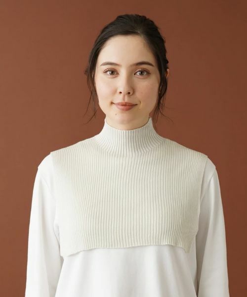Leilian PLUS HOUSE / レリアンプラスハウス その他小物 | 【つけ衿タイプ】リブニットハイネック | 詳細1
