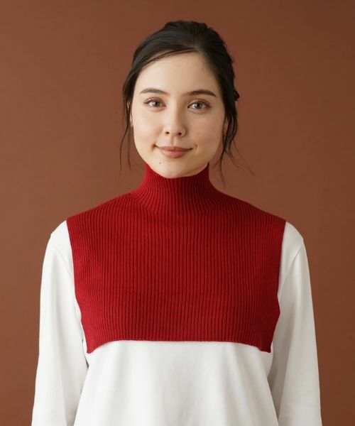 Leilian PLUS HOUSE / レリアンプラスハウス その他小物 | 【つけ衿タイプ】リブニットハイネック | 詳細5