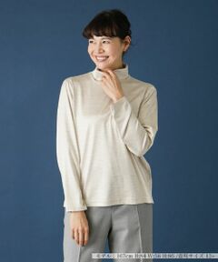 Leilian PLUS HOUSE / レリアンプラスハウス カットソー | 【店舗人気】タートルネックカットソー