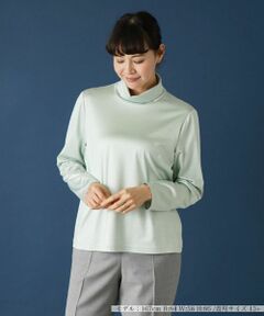 Leilian PLUS HOUSE / レリアンプラスハウス カットソー | 【店舗人気】タートルネックカットソー