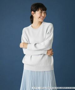 Leilian PLUS HOUSE / レリアンプラスハウス ニット・セーター | クルーネックラグランニット