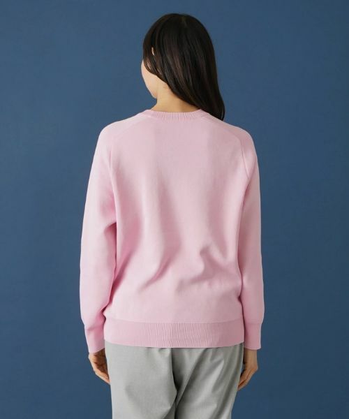 Leilian PLUS HOUSE / レリアンプラスハウス ニット・セーター | クルーネックラグランニット | 詳細6