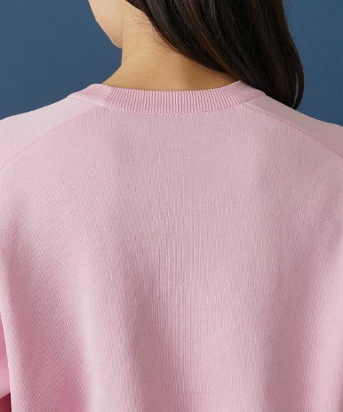 Leilian PLUS HOUSE / レリアンプラスハウス ニット・セーター | クルーネックラグランニット | 詳細8