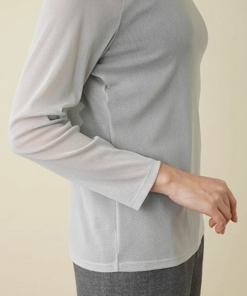 Leilian PLUS HOUSE / レリアンプラスハウス カットソー | 【店舗人気】シアーハイネックカットソー | 詳細13