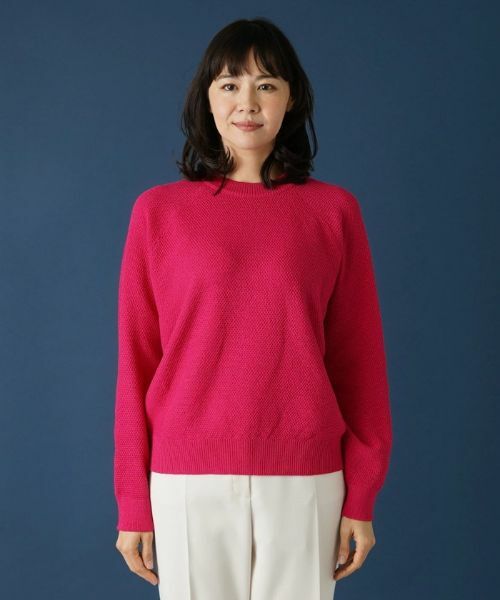 Leilian PLUS HOUSE / レリアンプラスハウス ニット・セーター | ラグランクルーネックニット | 詳細4