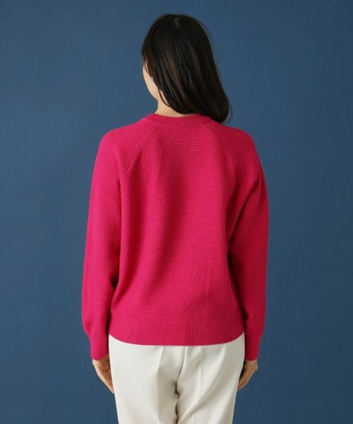Leilian PLUS HOUSE / レリアンプラスハウス ニット・セーター | ラグランクルーネックニット | 詳細6