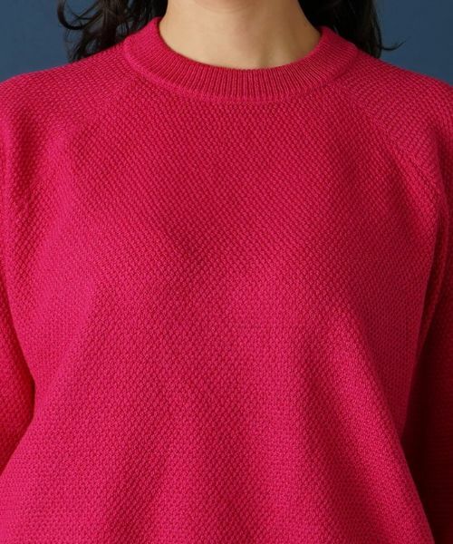 Leilian PLUS HOUSE / レリアンプラスハウス ニット・セーター | ラグランクルーネックニット | 詳細7