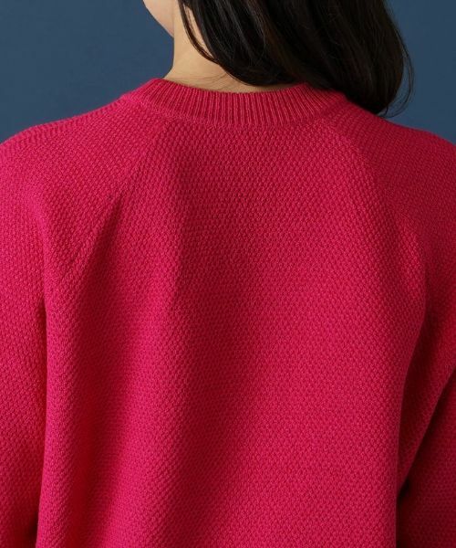 Leilian PLUS HOUSE / レリアンプラスハウス ニット・セーター | ラグランクルーネックニット | 詳細8