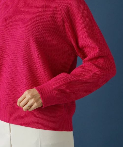 Leilian PLUS HOUSE / レリアンプラスハウス ニット・セーター | ラグランクルーネックニット | 詳細9